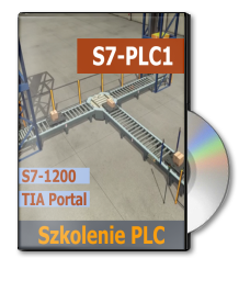 szkolenie-dvd